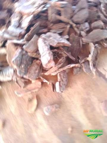 Imagem Casca de pinus embalada Imagem Casca de pinus embalada