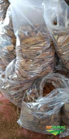 Imagem Casca de pinus embalada Imagem Casca de pinus embalada