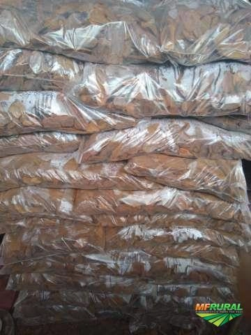 Imagem Casca de pinus embalada Imagem Casca de pinus embalada