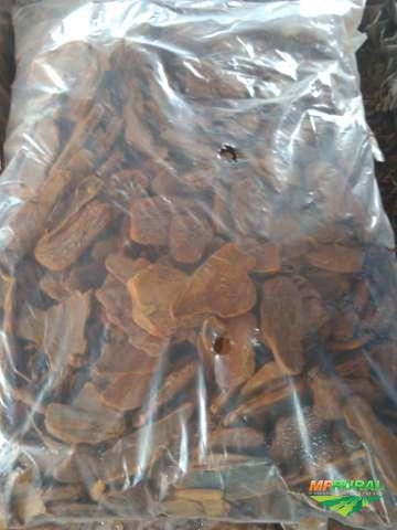 Imagem Casca de pinus embalada Imagem Casca de pinus embalada