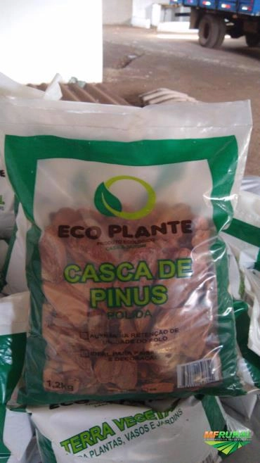 Imagem Casca de pinus embalada Imagem Casca de pinus embalada