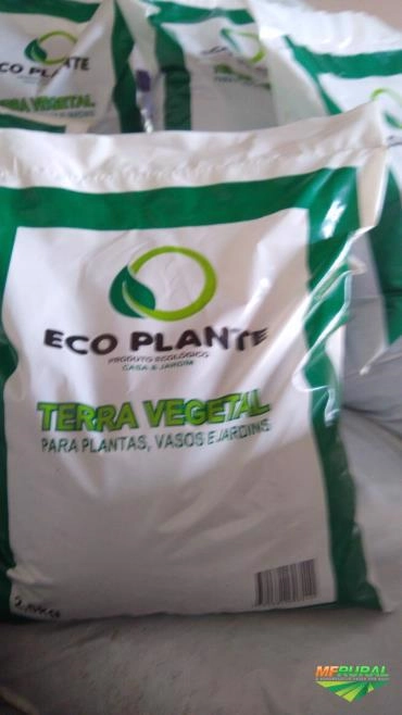 Imagem Casca de pinus embalada Imagem Casca de pinus embalada