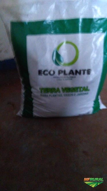 Imagem Casca de pinus embalada Imagem Casca de pinus embalada