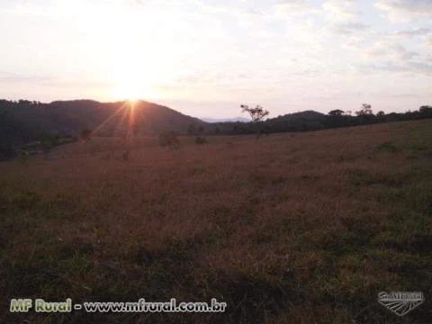 Fazenda De 6,5 Alqueires