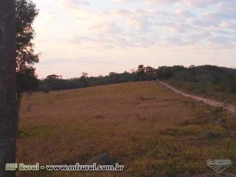 Fazenda De 6,5 Alqueires