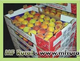Caixas de Papelão para Frutas, Legumes  e Embalagens