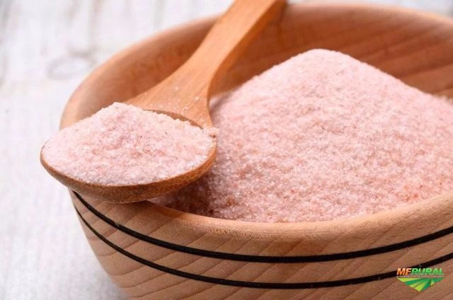 SAL ROSA DO HIMALAIA Imagem SAL ROSA DO HIMALAIA