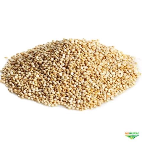 Imagem SAL ROSA DO HIMALAIA Imagem SAL ROSA DO HIMALAIA