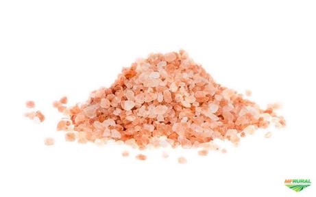 Imagem SAL ROSA DO HIMALAIA Imagem SAL ROSA DO HIMALAIA