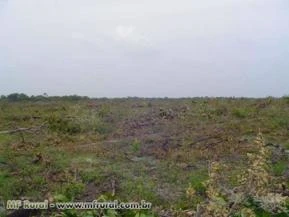 Fazenda para soja em Anapurus - MA