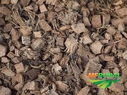 Compor Vendo Casca de coco seco retiro em qualquer estado compro ano todo em grande quantidades