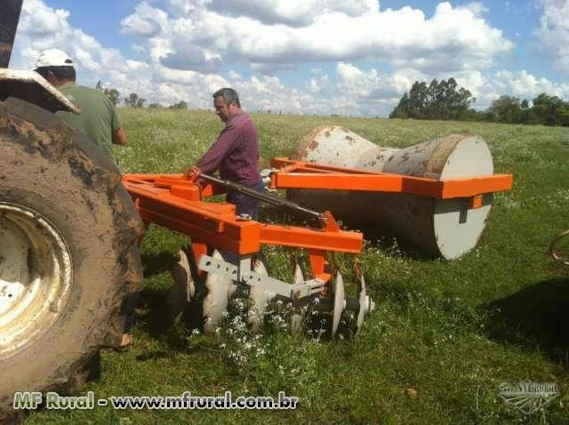 TAIPADEIRA / MARACHEIRA Imagem TAIPADEIRA / MARACHEIRA