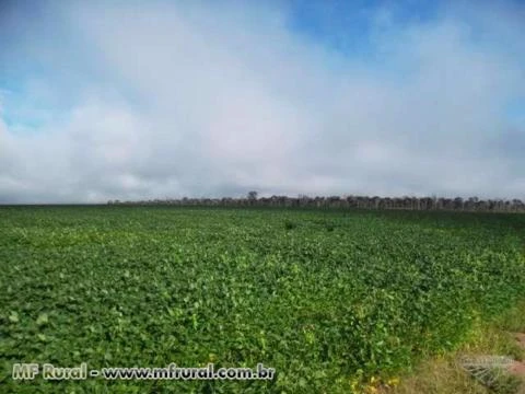 Fazenda com 2 mil hectares em Vilhena Rondonia