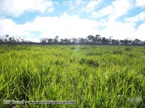 Fazenda com 2 mil hectares em Vilhena Rondonia