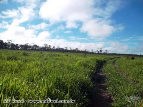 Fazenda com 2 mil hectares em Vilhena Rondonia