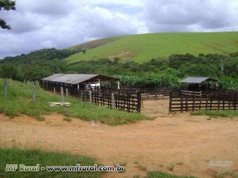 Espetacular fazenda 694,59 hectares em Aiuruoca MG
