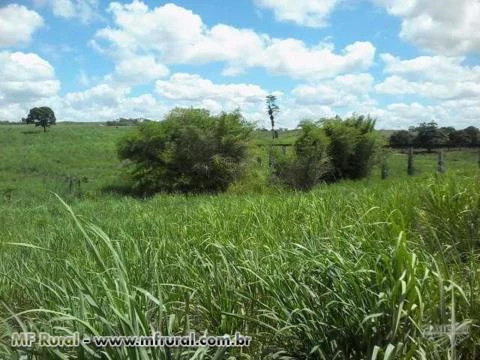 Terreno de 37,1 ha na Zona Rural de Pernambuco