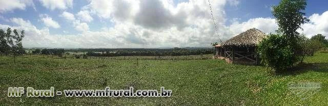 Fazenda de 823ha - Santarém/Pa