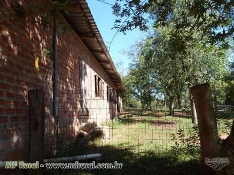 Fazenda no RS para Soja, Milho, Arroz, Pecuária