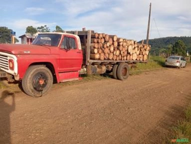 CAMINHA FOR MODELO FORD 13000 TRABALHANDO Imagem CAMINHA FOR MODELO FORD 13000 TRABALHANDO