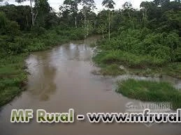 Áreas de floresta no Acre