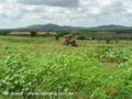 Fazenda com 1.782 ha em Morada Nova / CE