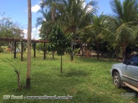 Fazenda em Piracanjuba