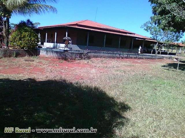 Vendo/Troco Sítio em Planaltina-DF por Fazenda no Norte do País