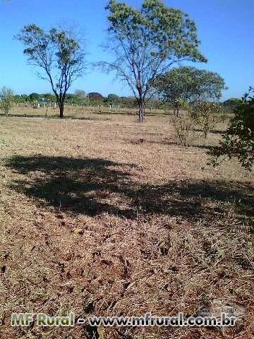 Vendo/Troco Sítio em Planaltina-DF por Fazenda no Norte do País