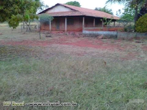 Vendo/Troco Sítio em Planaltina-DF por Fazenda no Norte do País