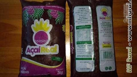 Açaí sabor do Acre Imagem Açaí sabor do Acre