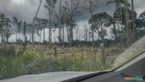 Fazenda na Amazônia com potencial turismo e florestal.