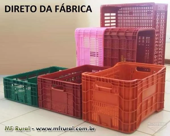 Caixas Plasticas, Agrícolas, Hortifruti, Frutas, Frango (FABRICA SP, MG, BA)