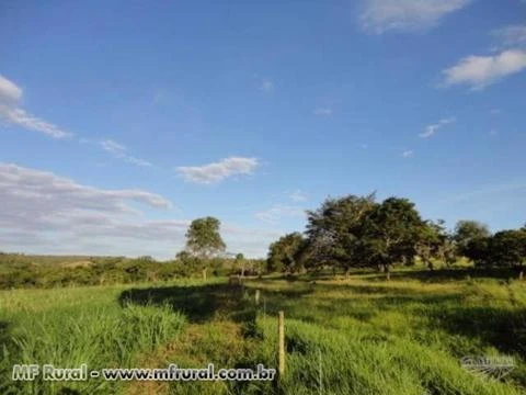 Fazenda 50 hectares toda formada entre Baldim e Jequitibá-MG