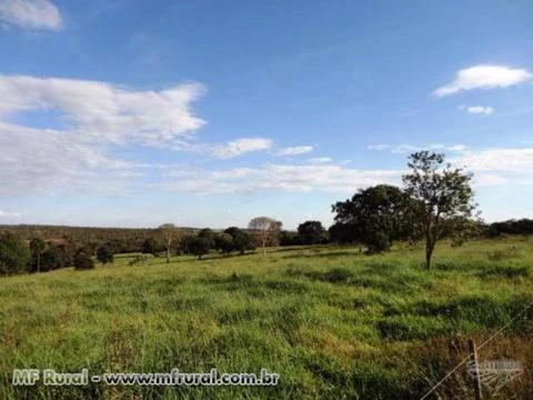 Vendo Magnifica fazenda entre Baldim e Jequitibá com 54 hectares toda formada