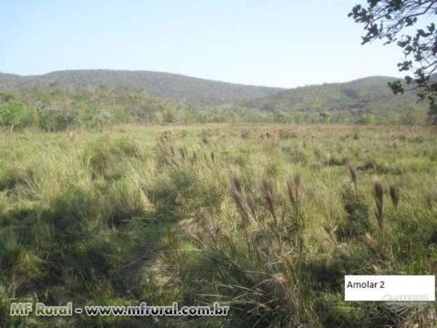 Area para reserva em MS-Corumba