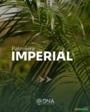 PALMEIRA IMPERIAL Imagem PALMEIRA IMPERIAL