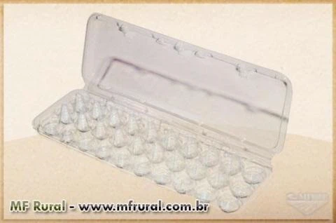 Embalagem plástica transparente para 30 ovos de Codorna
