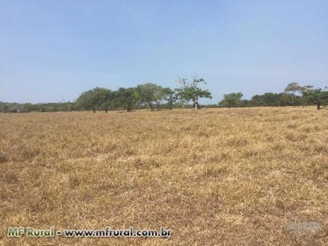 Fazenda 135 hectares em Barra do Riacho, Aracruz/ES