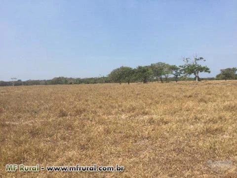 Fazenda 135 hectares em Barra do Riacho, Aracruz/ES