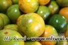 BANANA E LARANJA ATACADO Imagem BANANA E LARANJA ATACADO