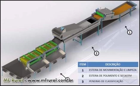 CLASSIFICADOR DE TOMATES Imagem CLASSIFICADOR DE TOMATES