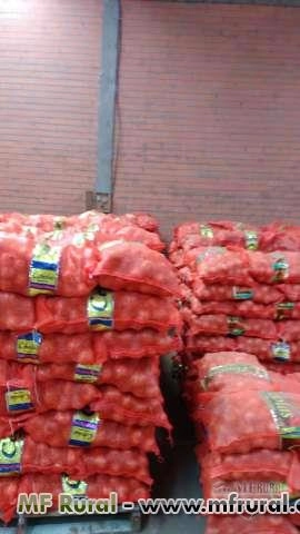 Cebola Imagem Cebola