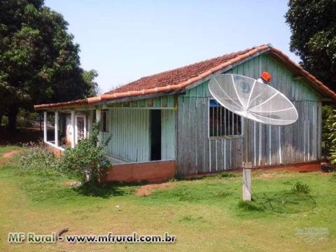 Sitio 5 Alqueire Cabeceira Para Rodovia PR 180 Cruzeiro Do Oeste PR