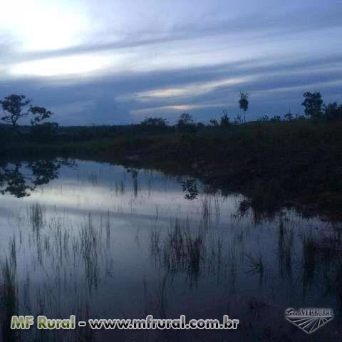 Terra boa com Agua