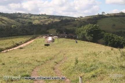 Fazenda Lajinha