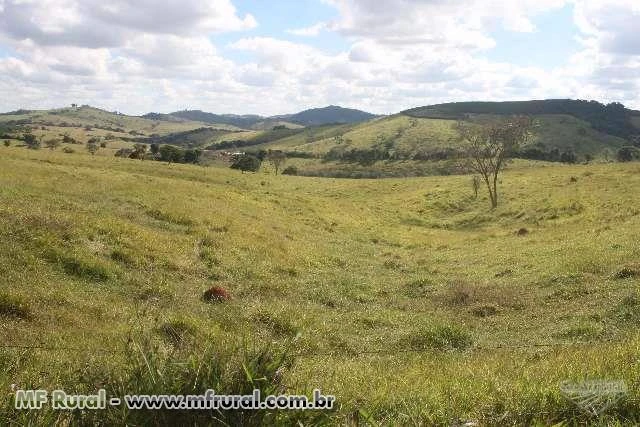 Fazenda Lajinha