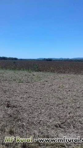 Fazenda no Sul do Pará