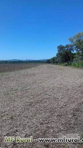 Fazenda no Sul do Pará