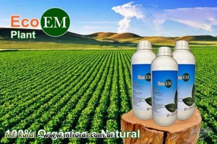 FERTILIZANTE ECOEM PLANT Imagem FERTILIZANTE ECOEM PLANT
